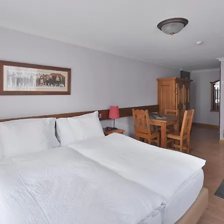 Hotel Le Chamois Les Diablerets