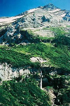 Le Chamois Hotel Les Diablerets