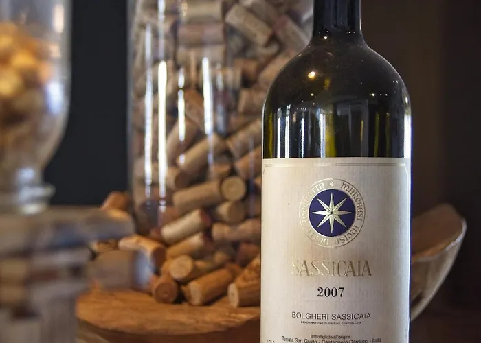 酒店 Le Chamois 3*