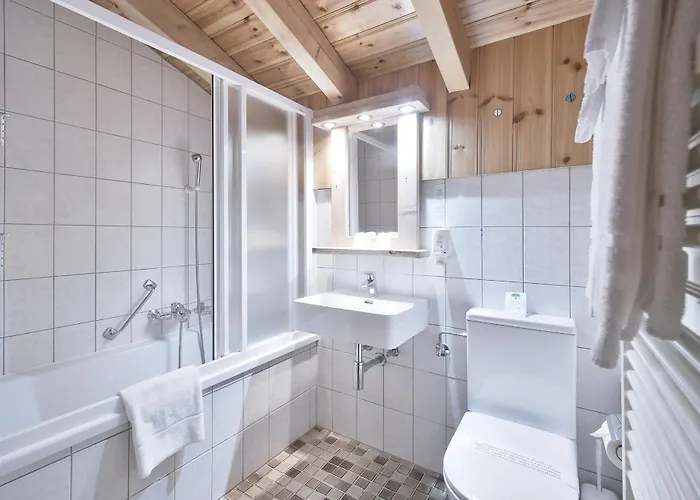 Hotel Le Chamois Les Diablerets