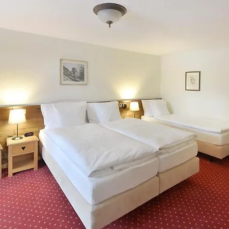 Le Chamois 3* لي ديابليريتس