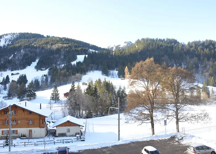 Le Chamois ホテル 3*