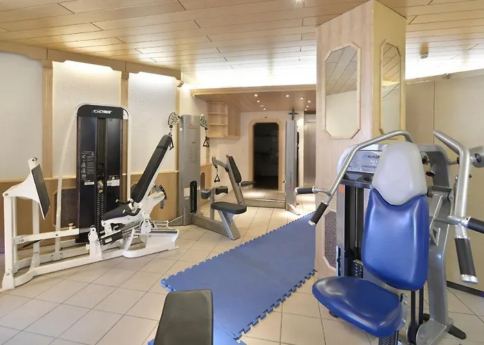 Le Chamois Hotel Les Diablerets